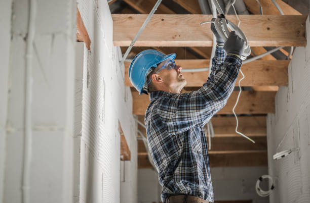 Best Ceiling Fan Installation Electrician  in Charles City, IA