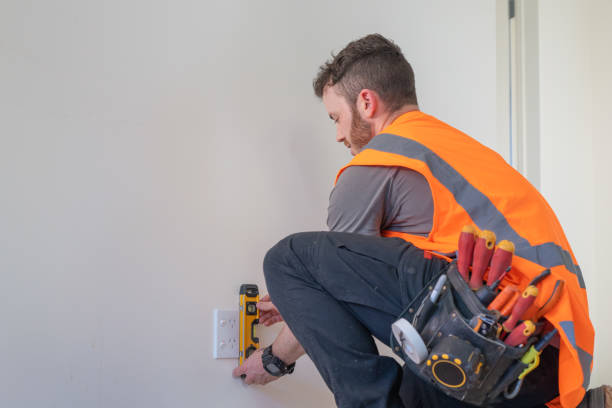 Best Local Electrician Companies  in Charles City, IA